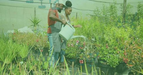 Teamwork in horticulture business helping plants flourish