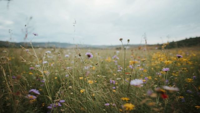 Swaying wildflower meadow under overcast sky with purple and yellow blooms