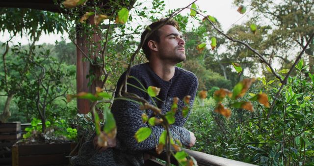 Man Reflecting on Wooden Balcony Surrounded by Lush Greenery - Download Free Stock Images Pikwizard.com