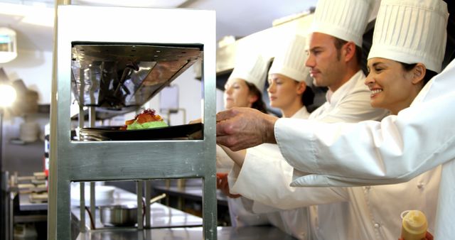 Team of Chefs Collaborating in Professional Kitchen - Download Free Stock Images Pikwizard.com