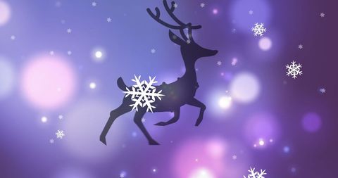 Silhouette of Reindeer with Snowflakes on Magical Purple Background