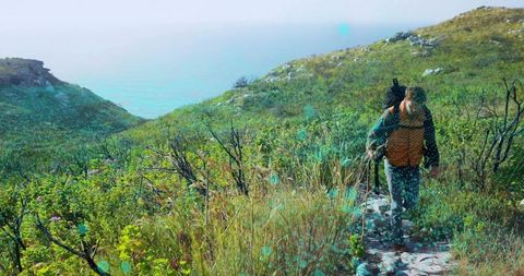 Solo hiker trekking on narrow coastal trail through wildflower hills with panoramic ocean view