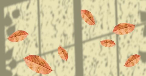 Autumn leaves floating over window shadows on yellow background