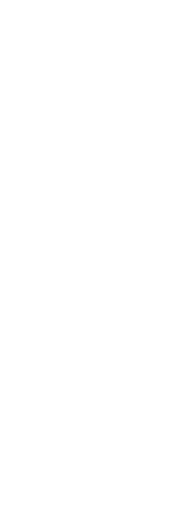 Female Boxer Lifting Gloves on Transparent Background Silhouette