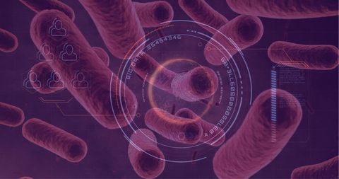 Digital Visualization of Bacterial Cells with Futuristic Interface - Download Free Stock Images Pikwizard.com