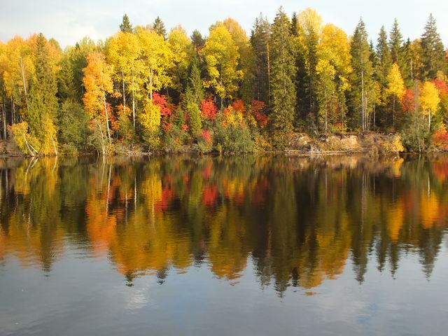 Beautiful view of autumn trees with reelection in the lake. Autumn season concept
