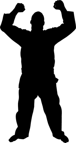 Transparent Silhouette of Victory Pose on Vector PNG - Download Free Stock Videos Pikwizard.com