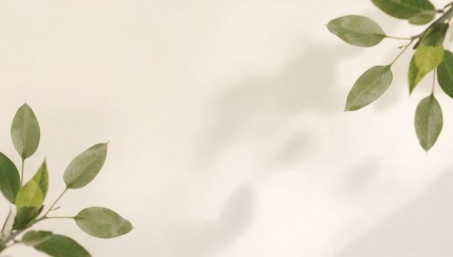 Minimal green leaves framing cream background with soft shadows and negative space
