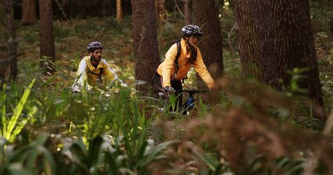 Adventurous Cyclists Exploring Forest Trails - Download Free Stock Images Pikwizard.com
