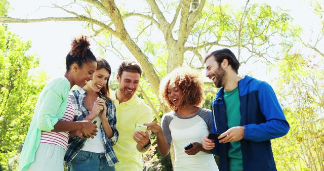 Diverse Friends Enjoying Outdoor Gathering Using Phones - Download Free Stock Images Pikwizard.com