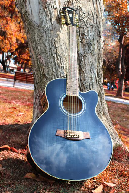 Blue acoustic guitar leaning against tree trunk in autumn park under blue sky. Yellow and orange autumn leaves scattered on the ground enhancing calm and peaceful scene. Perfect for themes of music, relaxation, nature, folk music promotion, and outdoor musical events.