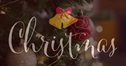 Close-up christmas tree branch with glossy red bauble, bokeh lights and elegant script