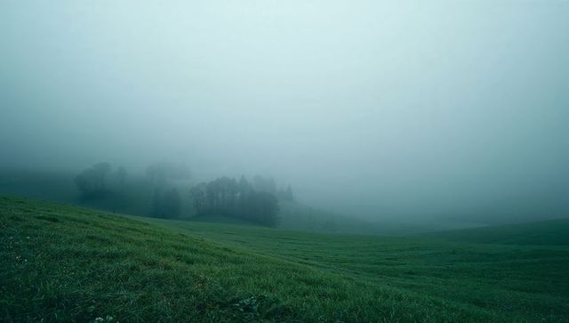 Misty Grass-Covered Hillside at Dawn