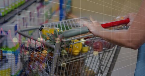 Consumer Shopping in Grocery Store with Fresh Produce in Cart