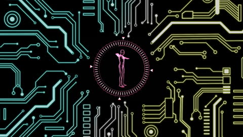 Spinning 3D Human Model with Microprocessor Connections