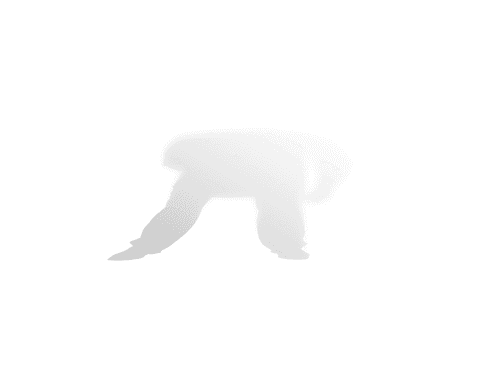 Abstract Organic Illustration on Transparent Background