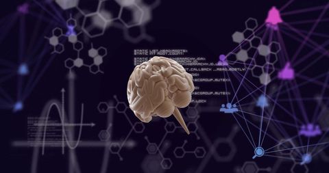 Digital Brain Technology Interface with Network Connections