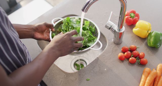 Image of hands of asian woman washing vegetables - Download Free Stock Photos Pikwizard.com