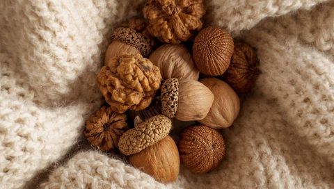 Nestling dried nuts and seed pods on chunky cream knit throw, cozy autumn tabletop decor