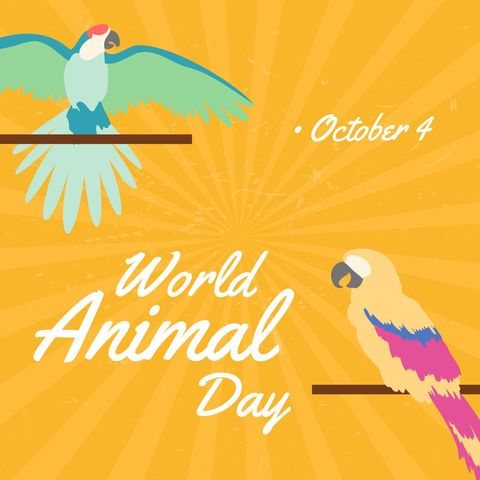 world animal day celebration design with exotic birds - Download Free Stock Templates Pikwizard.com