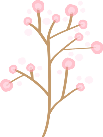 Minimalist stylized cherry blossom branch on transparent background