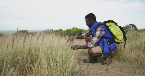 Man Touching Wheat Grass in Countryside Scene