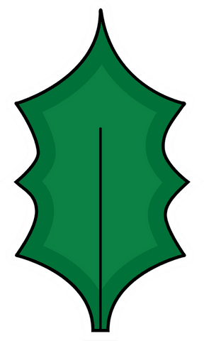 Stylized Evergreen Holly Leaf Illustration with Transparent Background