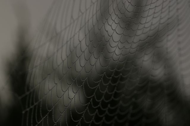 Close-up of Dew Covered Spider Web with Abstract Background - Download Free Stock Photos Pikwizard.com