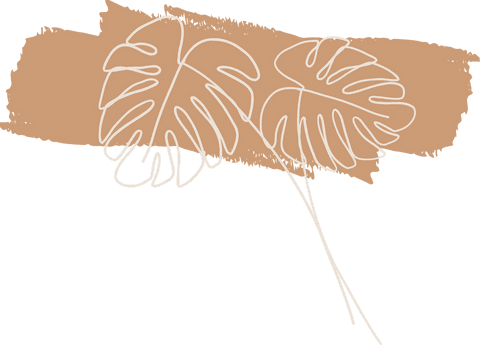 minimalist monstera leaves line art on transparent background - Download Free Stock Videos Pikwizard.com