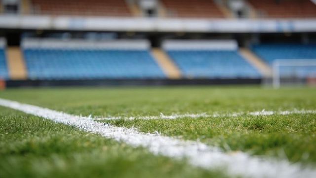 Close-up painted soccer field line with chalk particles on green grass and stadium