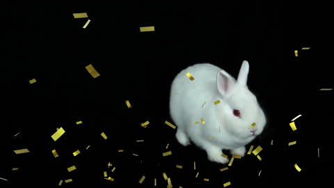 White Rabbit and Gold Confetti on Black Background for Celebrations