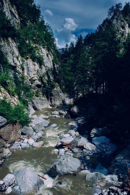 Wild River Flowing Through Rocky Mountain Pass in Forest - Download Free Stock Images Pikwizard.com