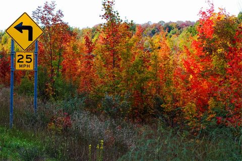Autumn trees with curved road sign revealing fall vibes