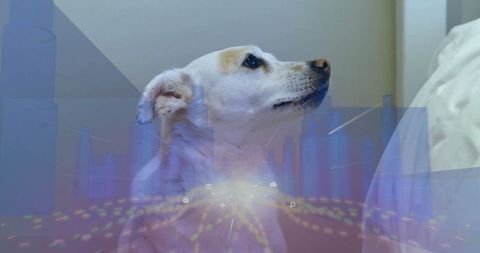 White dog with digital overlay reflecting modern technology environment