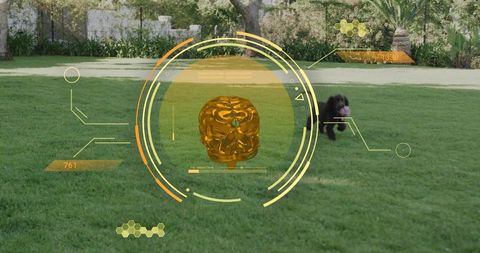Futuristic hud scanning golden artifact in backyard with dog chasing ball