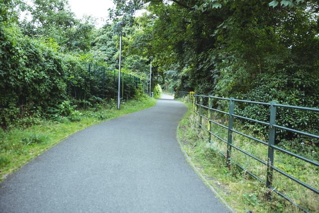 Serene Pathway Through Lush Green Forest - Download Free Stock Photos Pikwizard.com