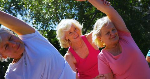 Senior Women Stretching Together Outdoors in Sunny Weather - Download Free Stock Images Pikwizard.com