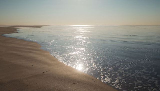 Sunlight reflecting on wet sand along tranquil empty shoreline at low tide