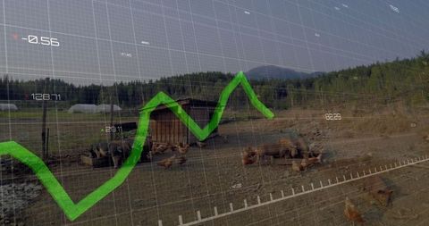 Eco-friendly farm with data trends and poultry analysis