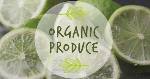 Fresh organic lime slices with creative text overlay