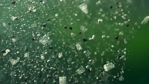 Particles Suspended in Dynamic Green Fluid Motion