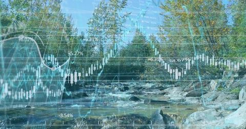Financial Data Overlaying Serene Forest Stream