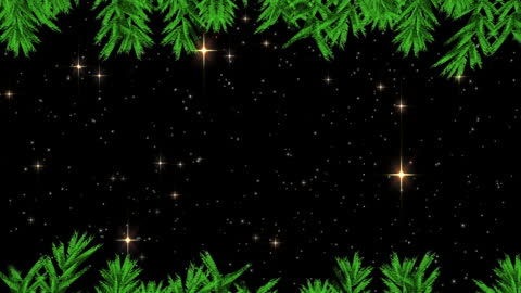 Festive Green Fir Tree With Stardust Sky Backdrop