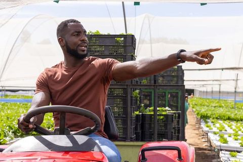 Man directing agriculture operations from tractor in greenhouse