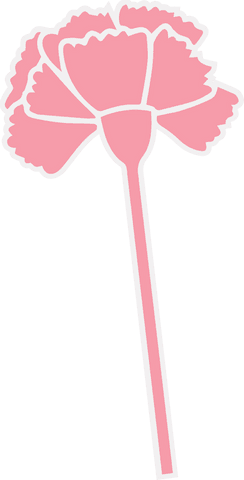 Stylized Transparent Background Pink Flower Illustration