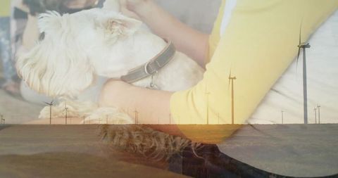 Relaxed pet sitting indoors with blurred wind farm background