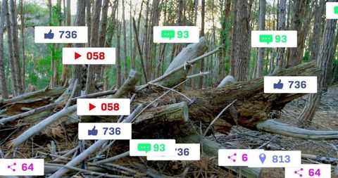 Social Media Interaction Overlays in Serene Woodland Forest