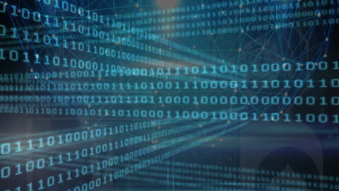Digital Data Stream with Network Connections