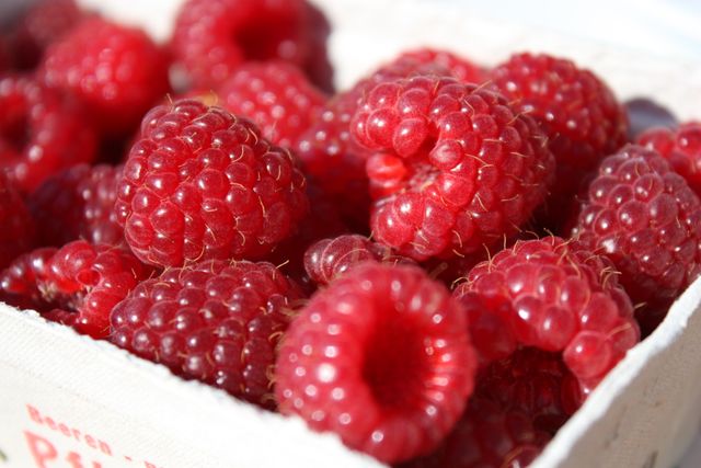 A vibrant, close-up view of ripe, fresh raspberries placed in white punnets. Ideal for use in health and nutrition contexts, recipe blogs, food and beverage promotions, summer-themed projects, and as vibrant summer fruit visuals for advertising or print media.