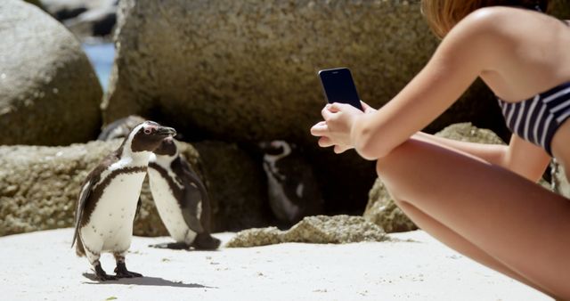 Woman in summer clothing capturing photos of a group of penguins on a sandy beach. Ideal for themes on wildlife photography, vacations, nature exploration, and outdoor activities.